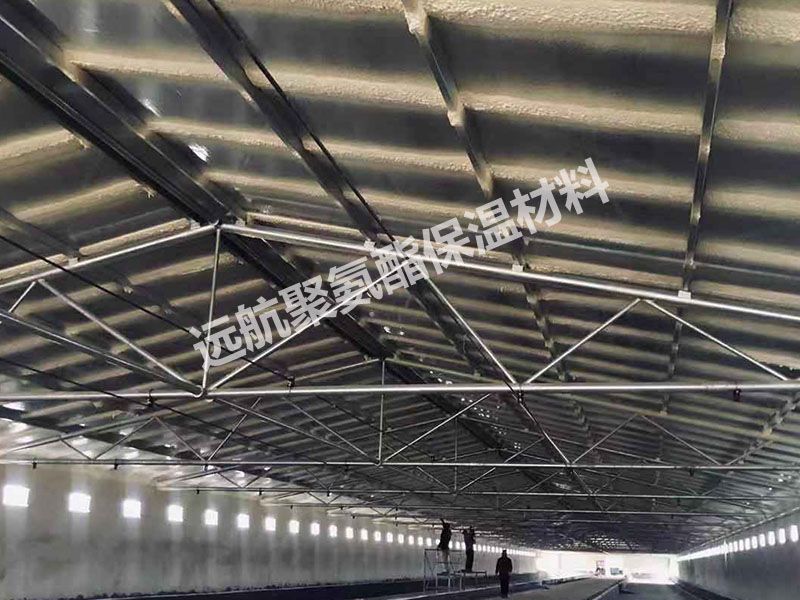 鳳祥養（yǎng）殖（zhí）棚聚氨酯防水保溫一（yī）體化項（xiàng）目